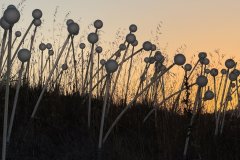 IMG_9627aa