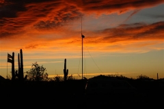 Quartzsite 2012 029 (Small)