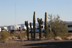 Quartzsite 2012 052 (Small)