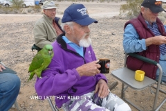 Quartzsite 2013 2013-01-24 041 (640x480)