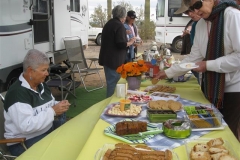 SRH Quartzsite 2013 LC 004 (Small)