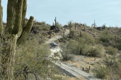 IMG_1977_resize