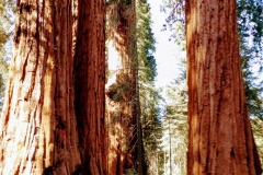 three-rivers-10