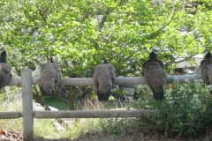 IMG_0354_edited_edited-2