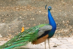 P1000304