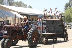 SRH Vista 2014 023 (Small)