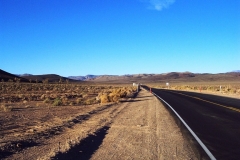 DCP_1244_resize