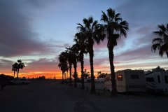 IMG_0860