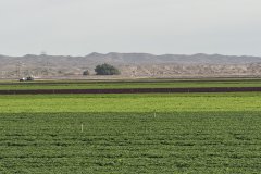 IMG_7203