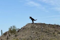 IMG_0963